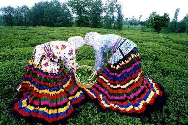 gilan costume